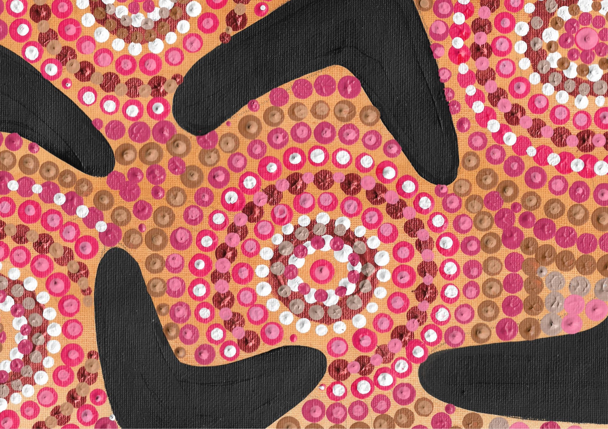 Connect with Country 7